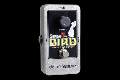 Screaming Bird