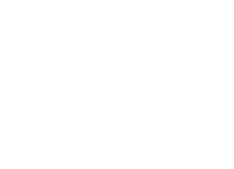 MiniBrute 2