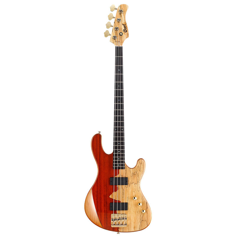 Cort Jeff Berlin Rithimic