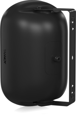 DVS 601