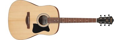 Ibanez V40