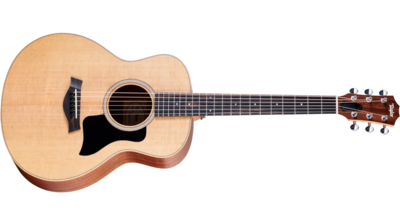 Taylor GS Mini