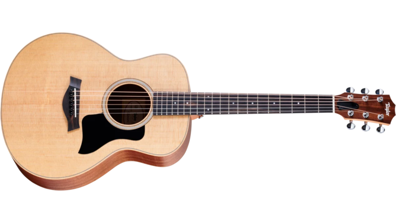 Taylor GS Mini