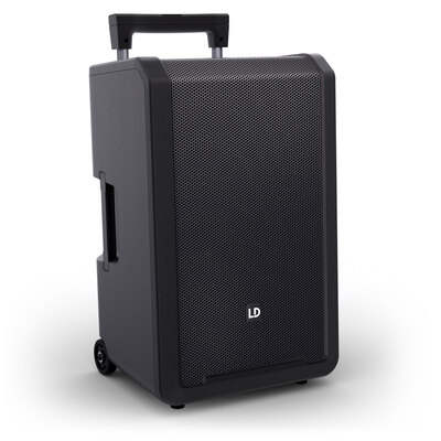 LD Systems ANNY 12