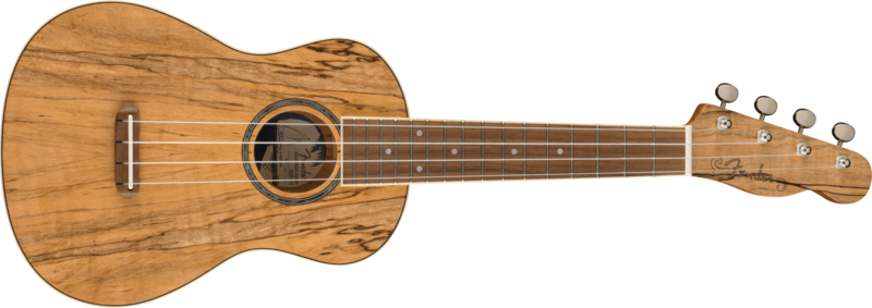 Fender Zuma Exotic Concert