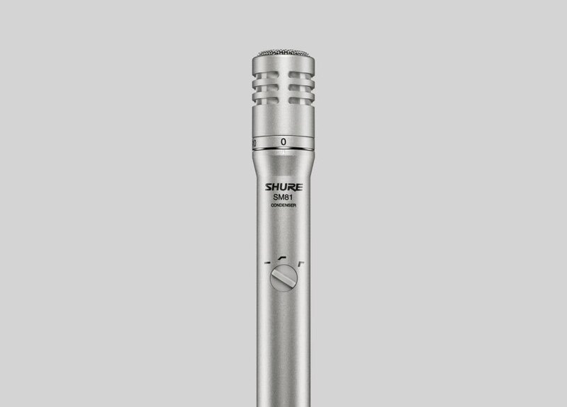 SM81