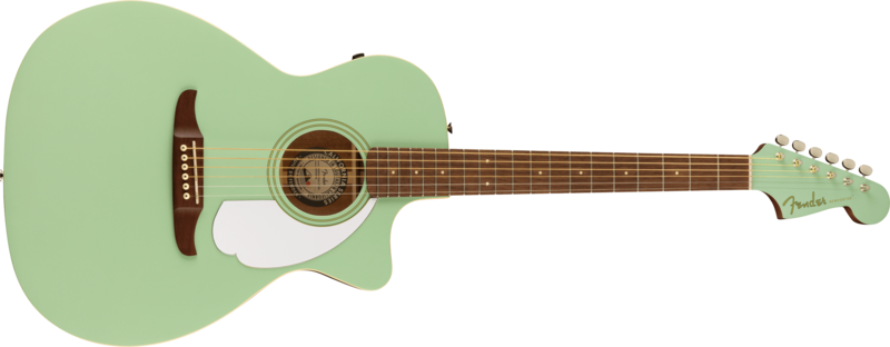 Fender Newporter Player