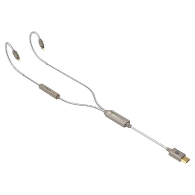 iFi Audio GO Cable