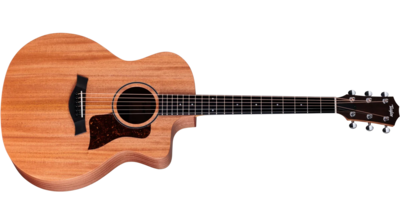 Taylor 24ce
