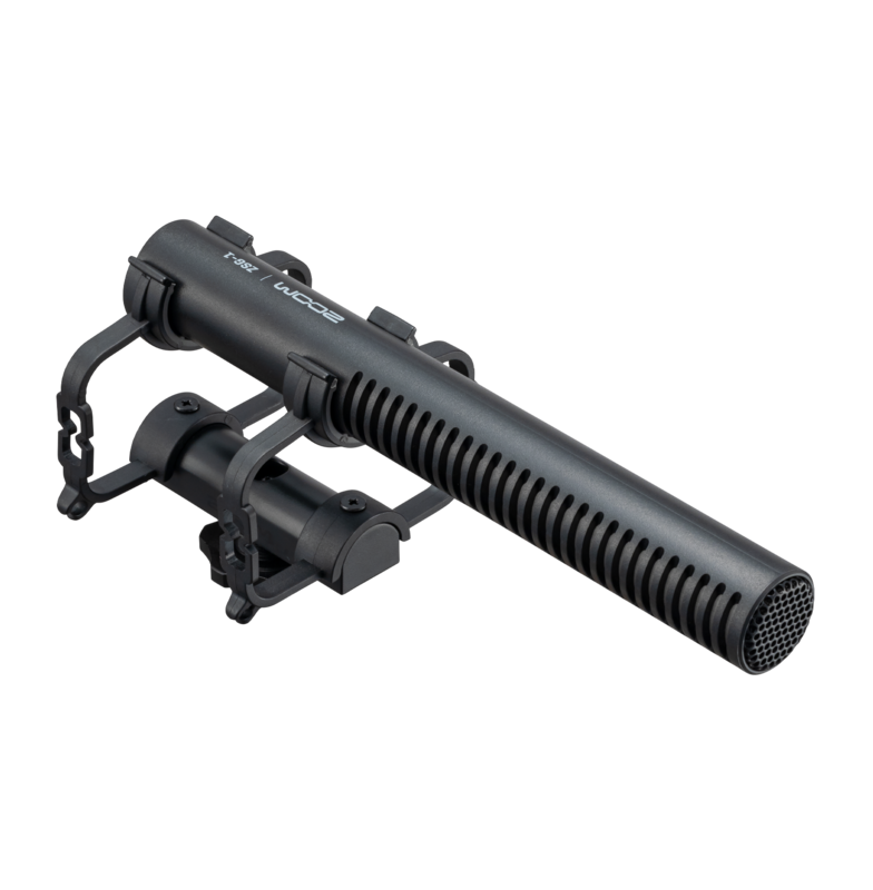 ZSG-1