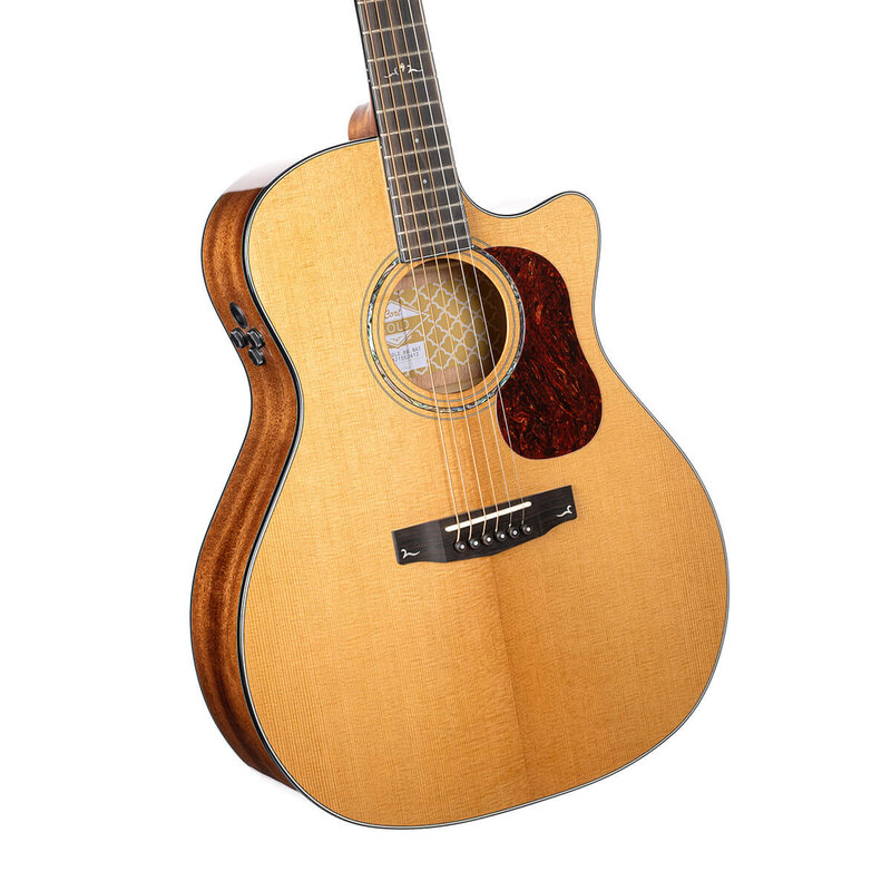 Cort Gold-A6